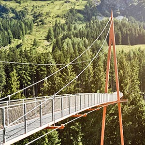 golden gate bridge austria